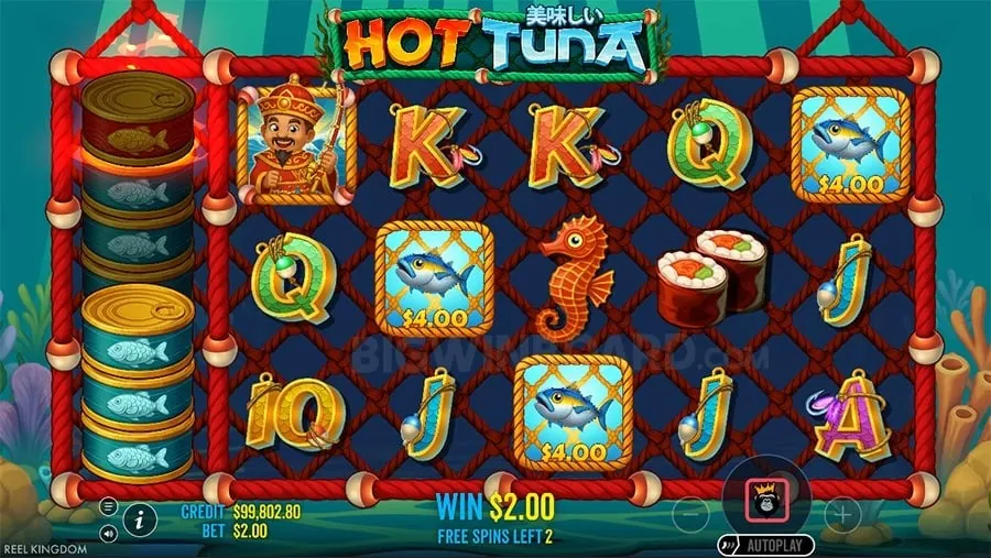 winslot Live Dealer Casino Games